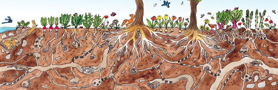 bioplastic Wonderwel bioplastic