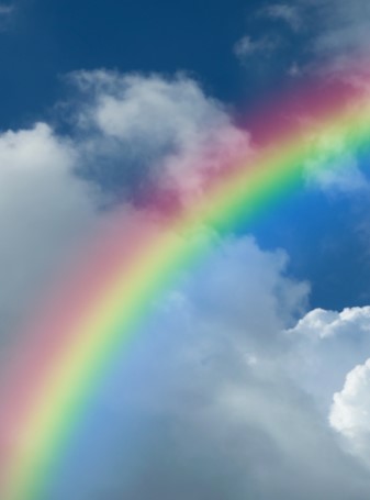 Regenboog Wonderwel regenboog