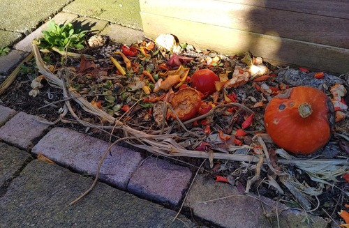 Kringloopboer Wonderwel kringloopboer